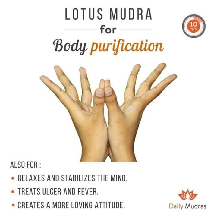 Various Yoga Mudra Photos