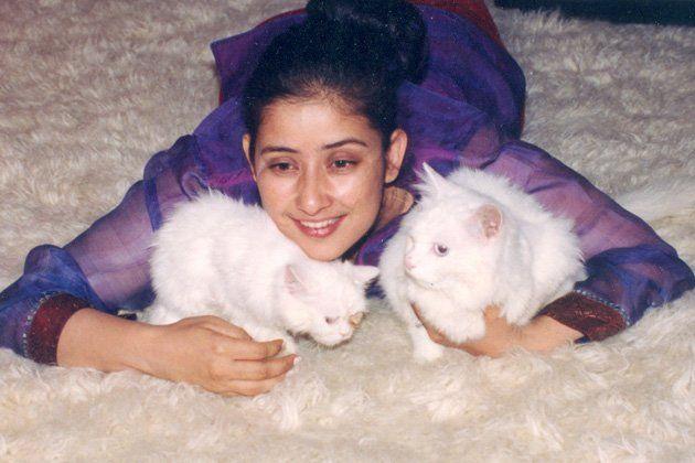 Celebrities with their pets Photos