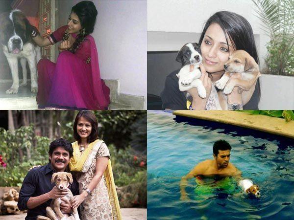 Celebrities with their pets Photos