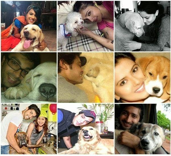 Celebrities with their pets Photos