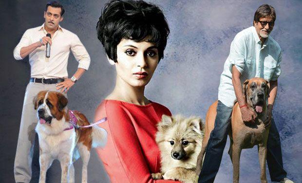 Celebrities with their pets Photos