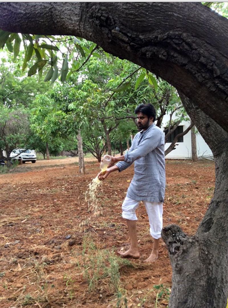 Pawan Kalyan at his Farm House Unseen Photos