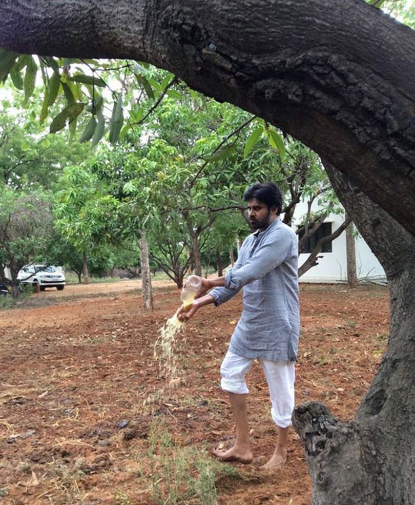 Pawan Kalyan at his Farm House Unseen Photos