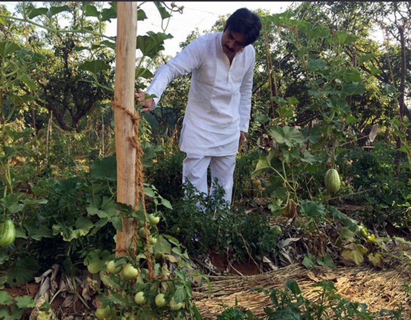 Pawan Kalyan at his Farm House Unseen Photos