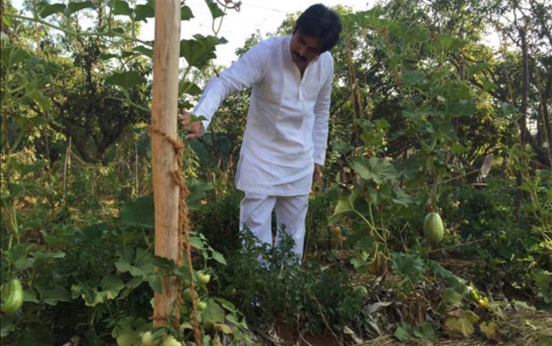 Pawan Kalyan at his Farm House Unseen Photos