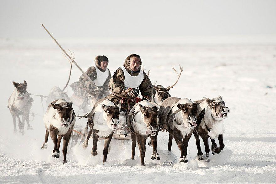 Stunning Portraits Of Remote Tribes Photos