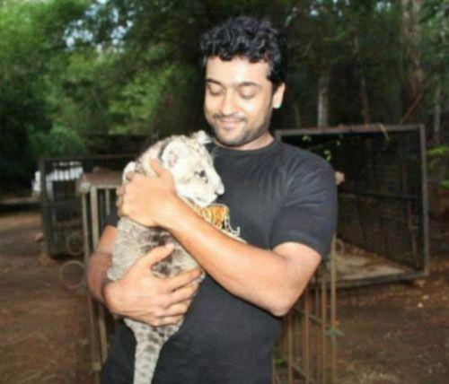 Suriya Rare and Unseen Pics