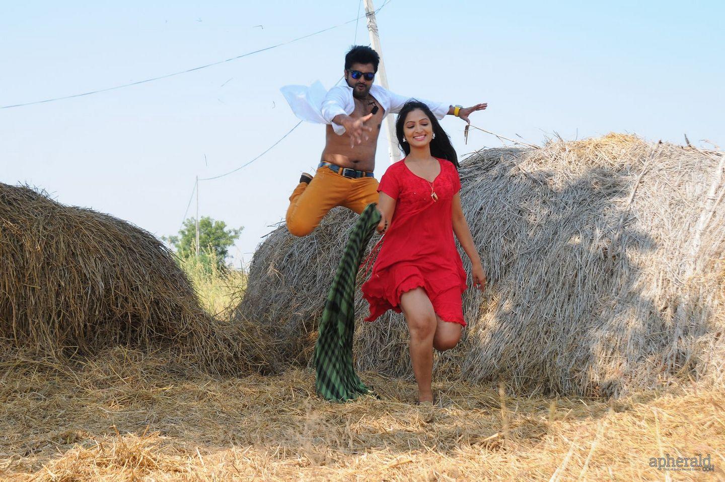 Swimming Pool Telugu Movie Stills