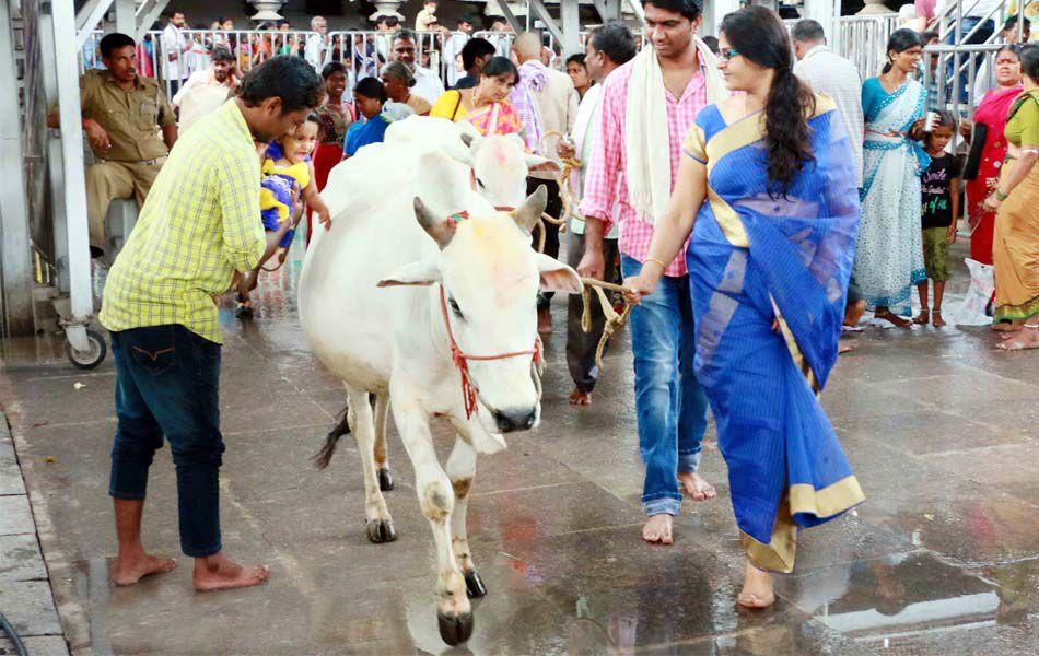 Telangana Pushkaralu Photos