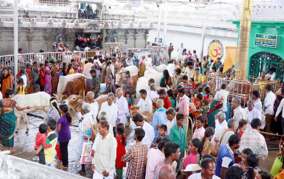 Telangana Pushkaralu Photos