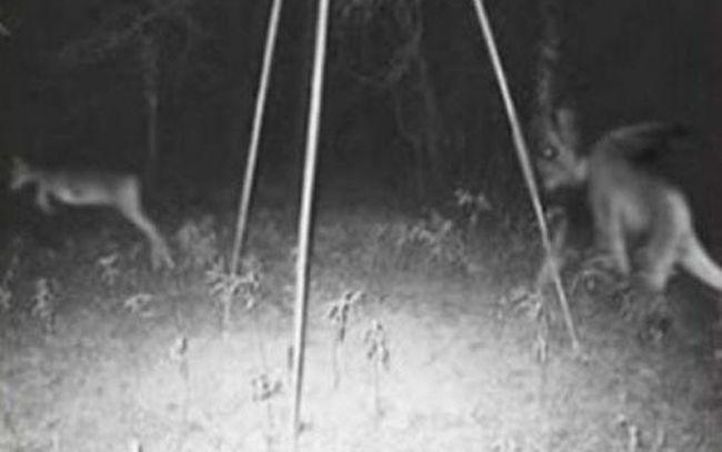 Terrifying Ghost Stills Captured on Cameras