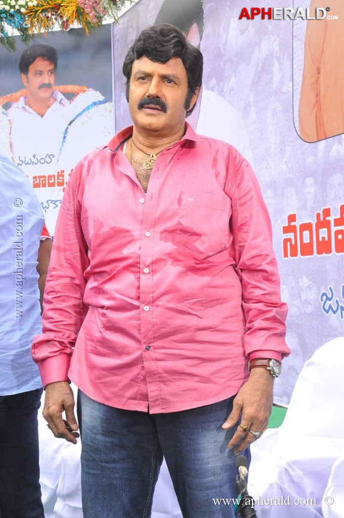 EXCLUSIVE: Balakrishna Birthday Celebration Photos