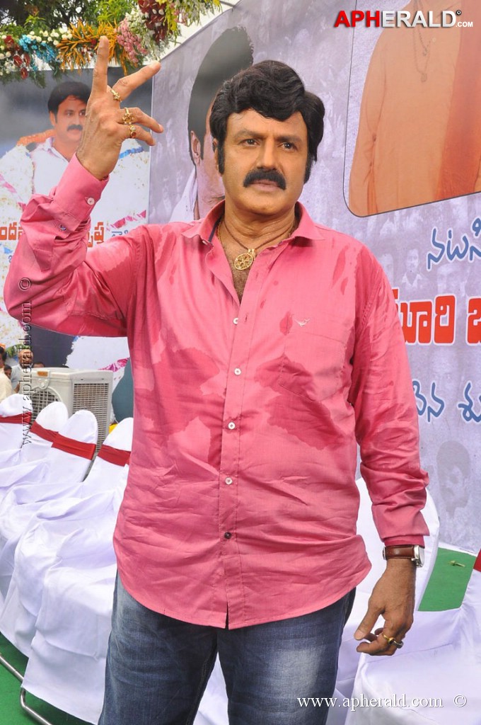 EXCLUSIVE: Balakrishna Birthday Celebration Photos