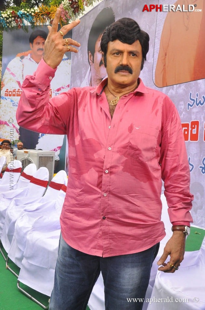 EXCLUSIVE: Balakrishna Birthday Celebration Photos