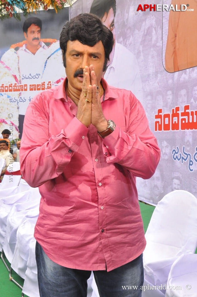 EXCLUSIVE: Balakrishna Birthday Celebration Photos