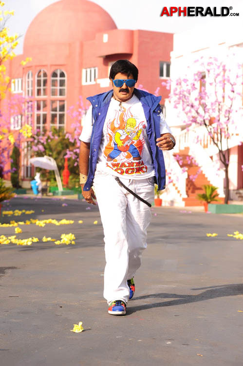 Balakrishna Stills