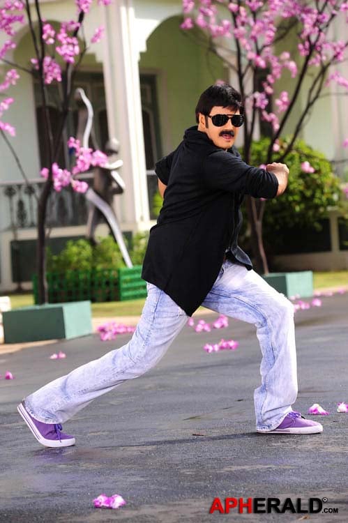 Balakrishna Stills