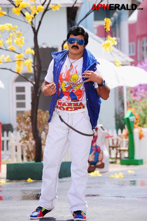 Balakrishna Stills