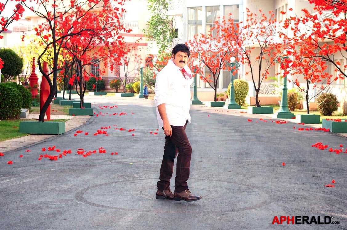 Balakrishna Stills