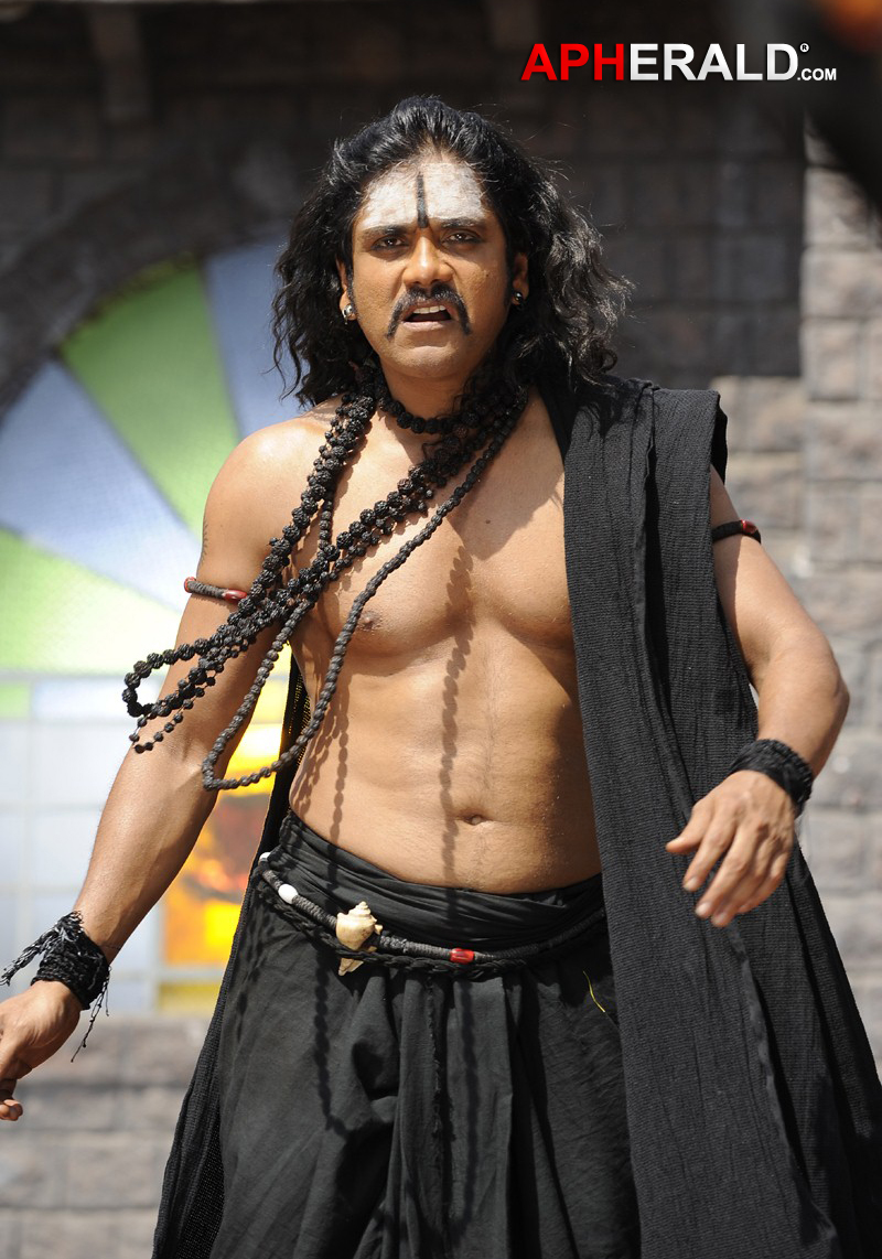 Nagarjuna Stills In Sri Jagadguru Adi Shankara Movie