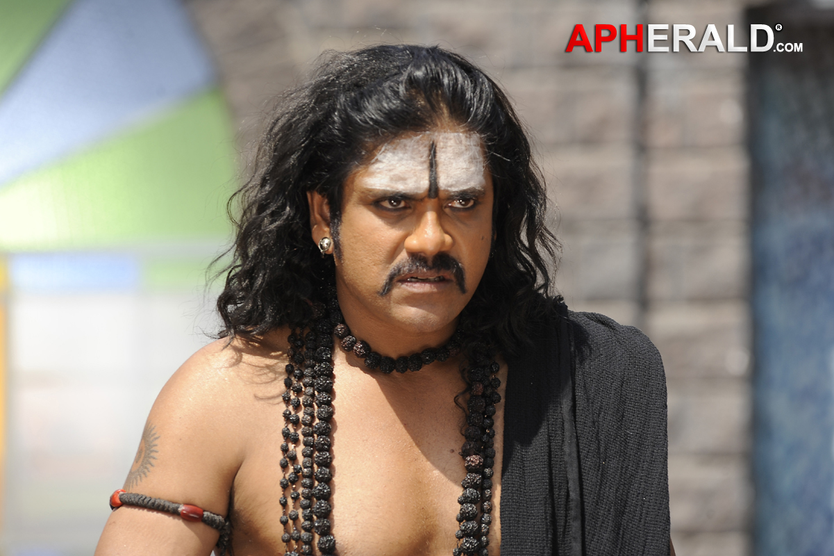 Nagarjuna Stills In Sri Jagadguru Adi Shankara Movie