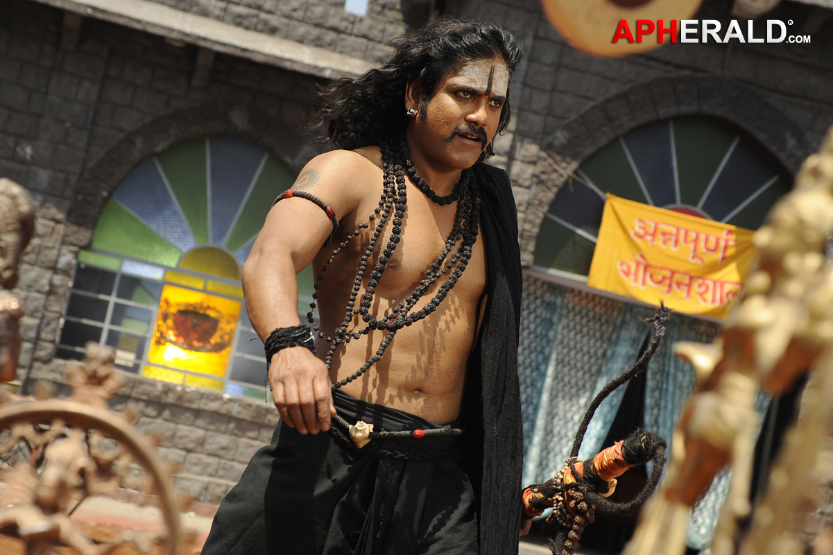 Nagarjuna Stills In Sri Jagadguru Adi Shankara Movie