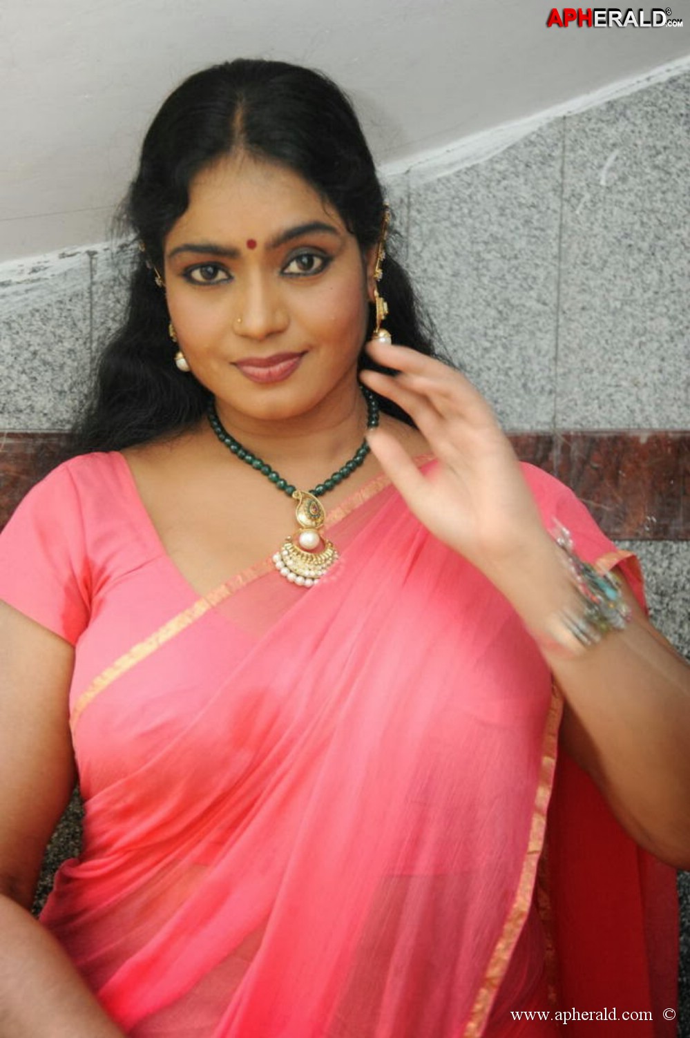 jayavani in pink saree spicy pics