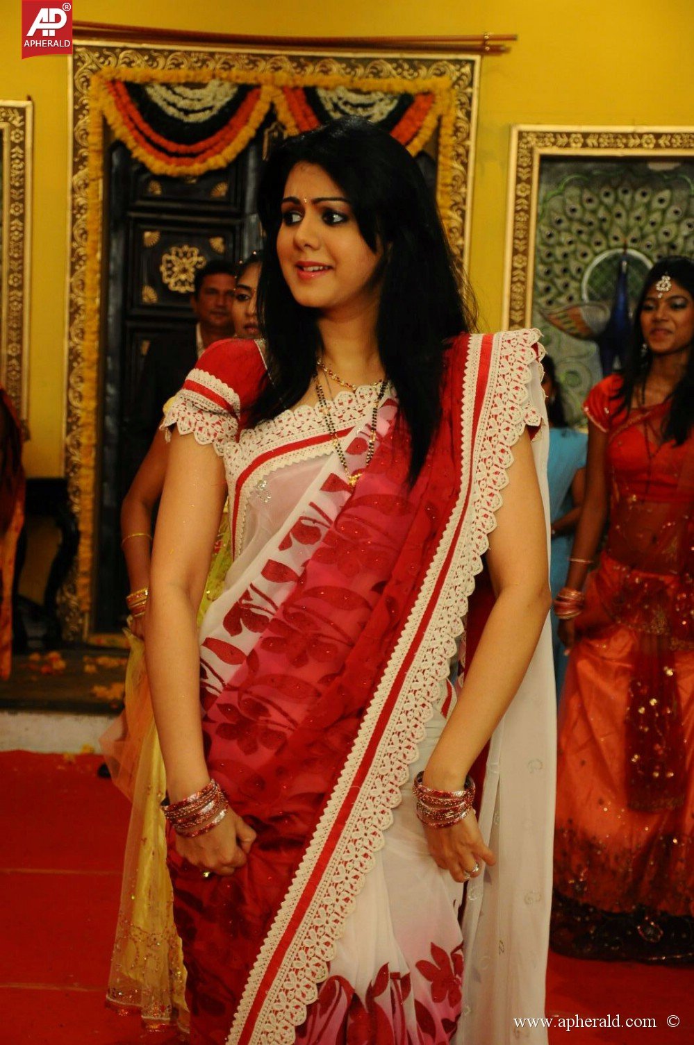 Kamna Jethmalani in Saree Photos