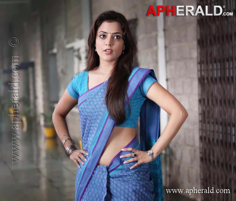 Nisha Agarwal in Saree Photos