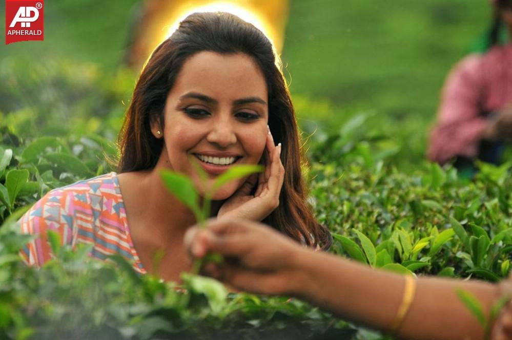 Priya Anand Beautiful Stills