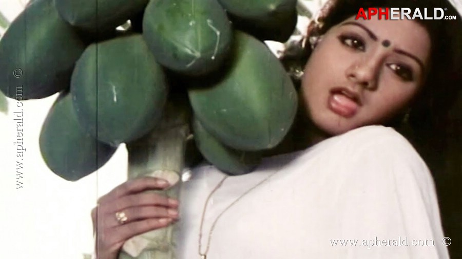 Sridevi Young Photos