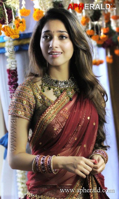 Tamanna in Saree