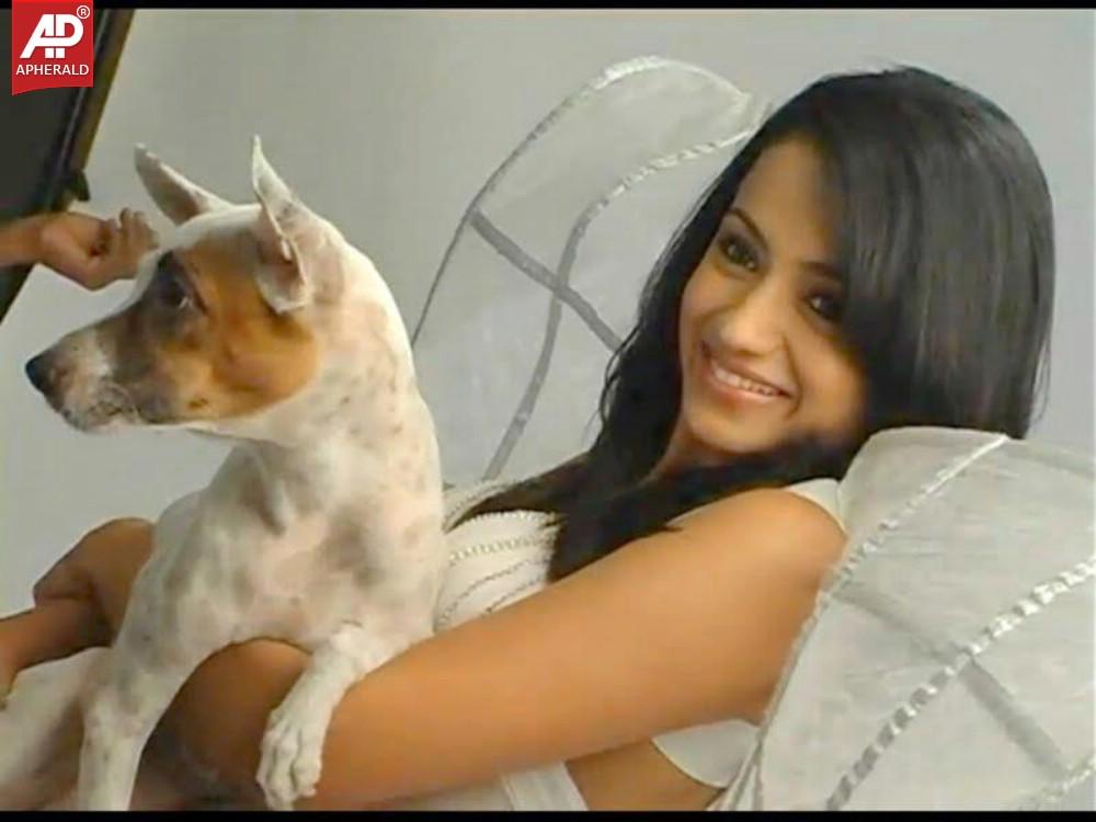 Trisha Birthday special rare Pics