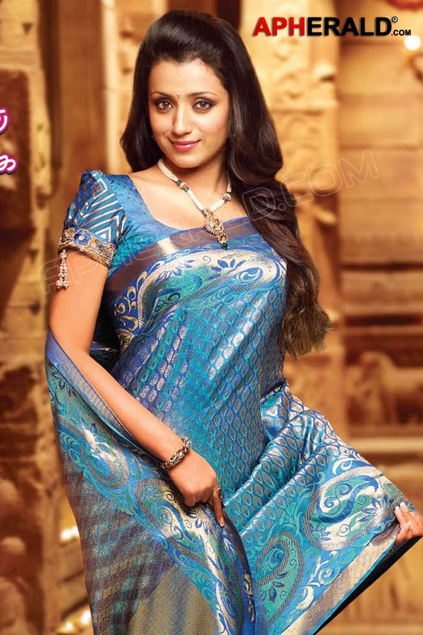 Trisha Latest Saree Stills