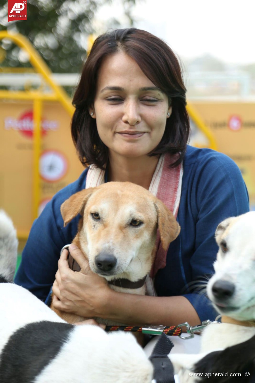 Amala Blue Cross Pet Carnival Event