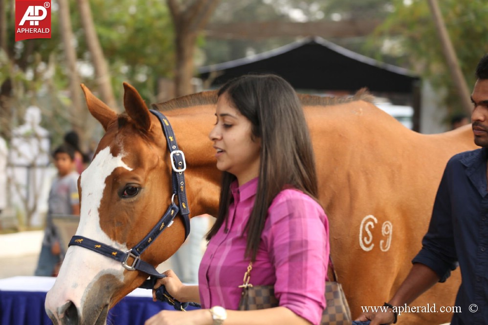 Amala Blue Cross Pet Carnival Event