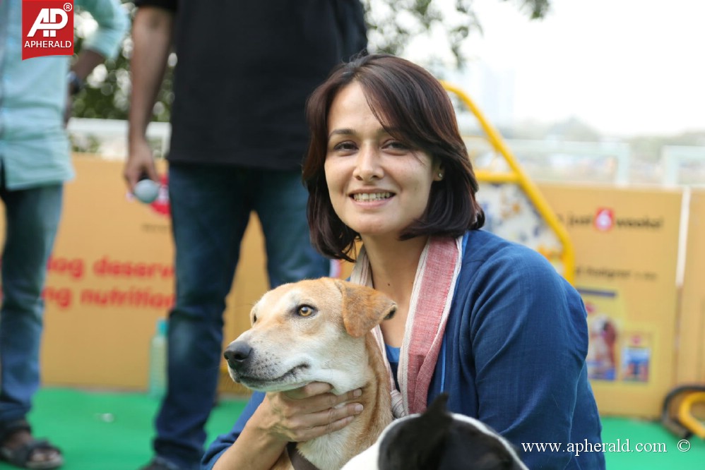 Amala Blue Cross Pet Carnival Event