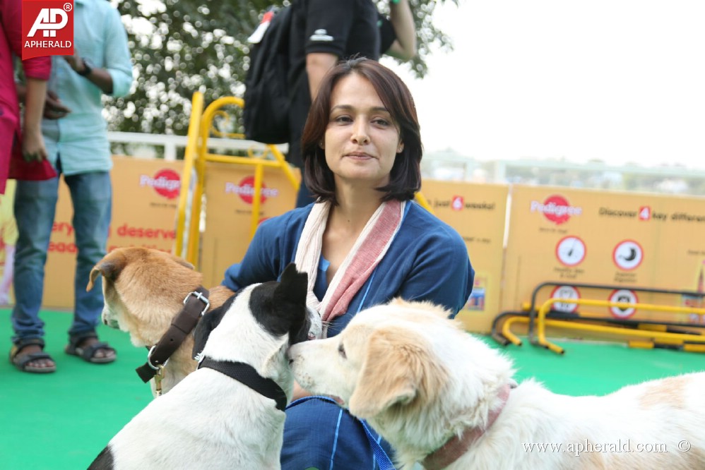 Amala Blue Cross Pet Carnival Event