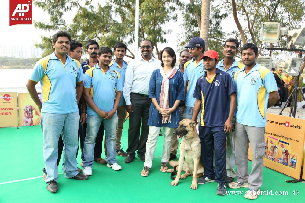 Amala Blue Cross Pet Carnival Event