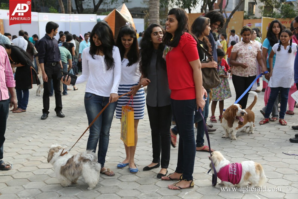 Amala Blue Cross Pet Carnival Event