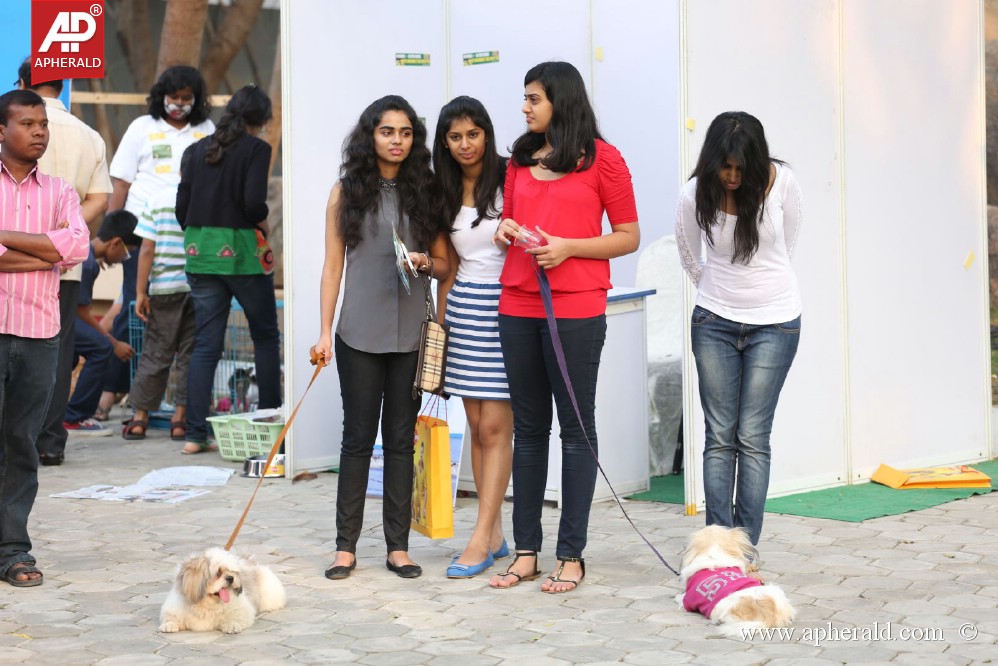 Amala Blue Cross Pet Carnival Event