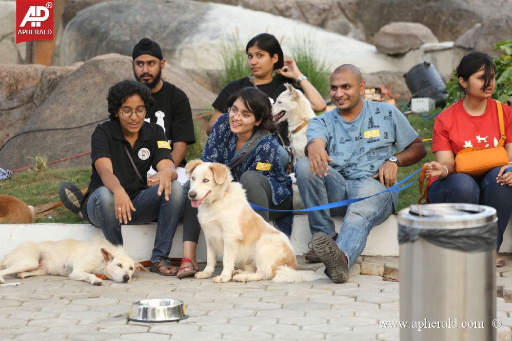 Amala Blue Cross Pet Carnival Event