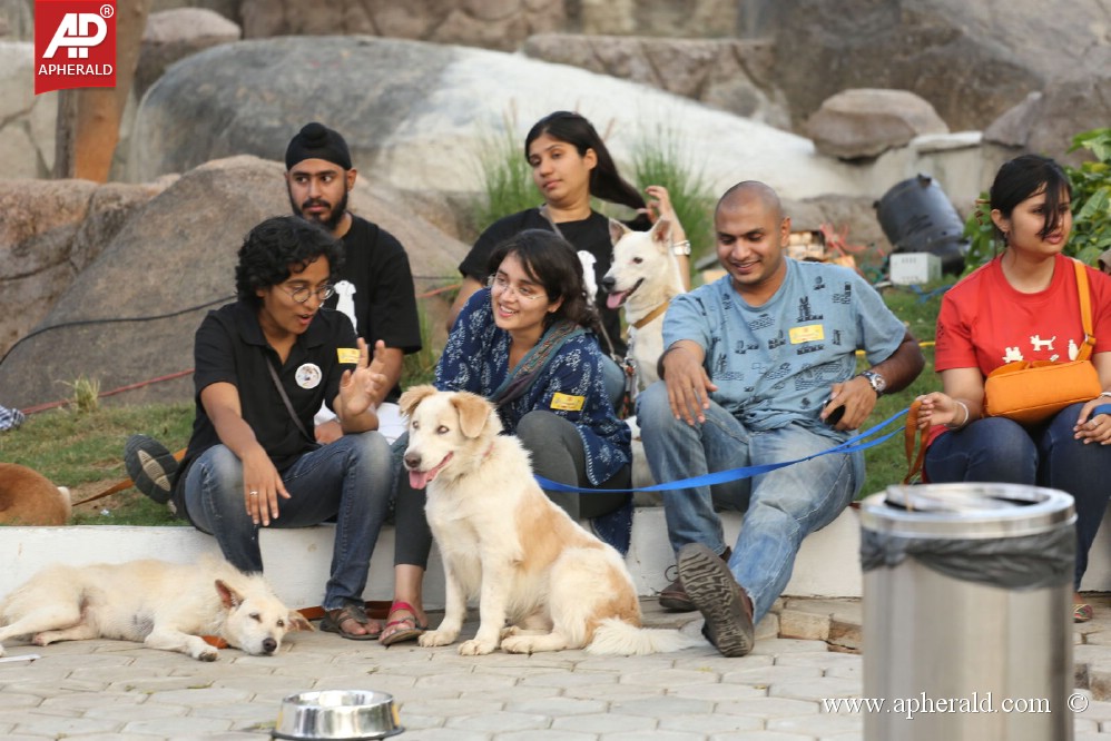 Amala Blue Cross Pet Carnival Event