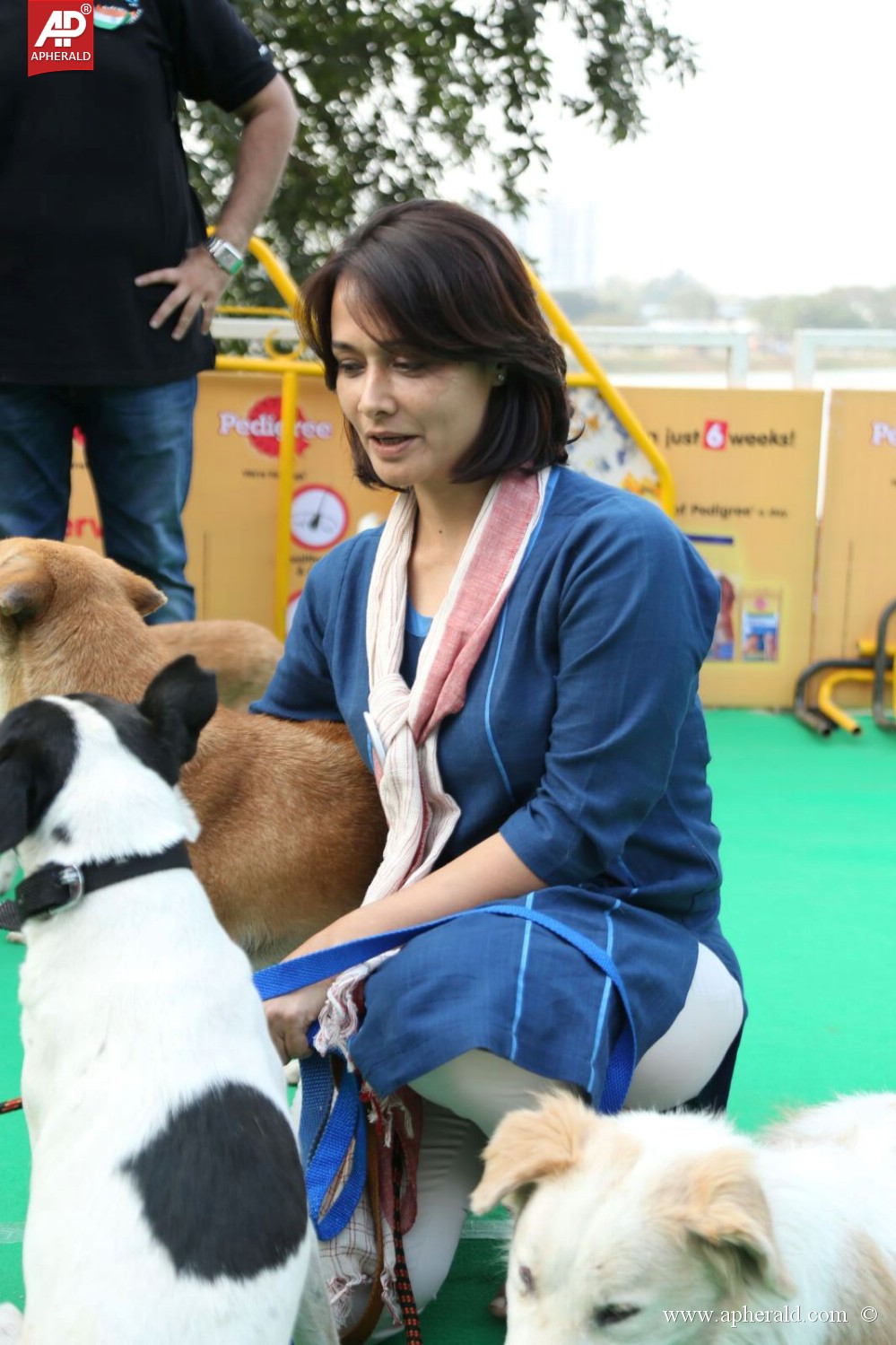 Amala Blue Cross Pet Carnival Event