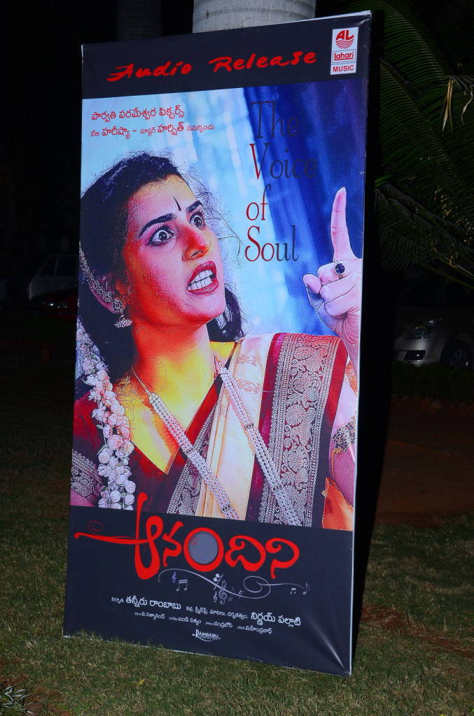 Anandini Movie Audio Launch Stills