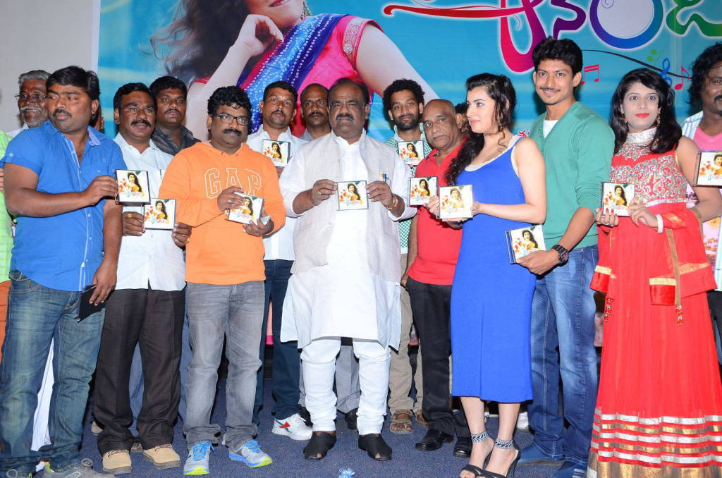 Anandini Movie Audio Launch Stills