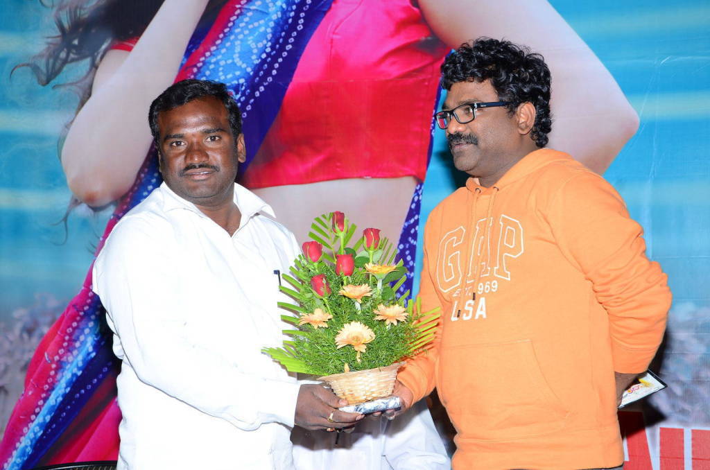 Anandini Movie Audio Launch Stills