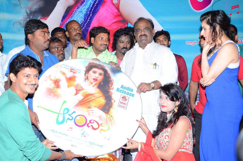 Anandini Movie Audio Launch Stills