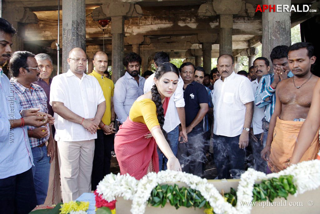 Anegan Tamil Movie Pooja Event