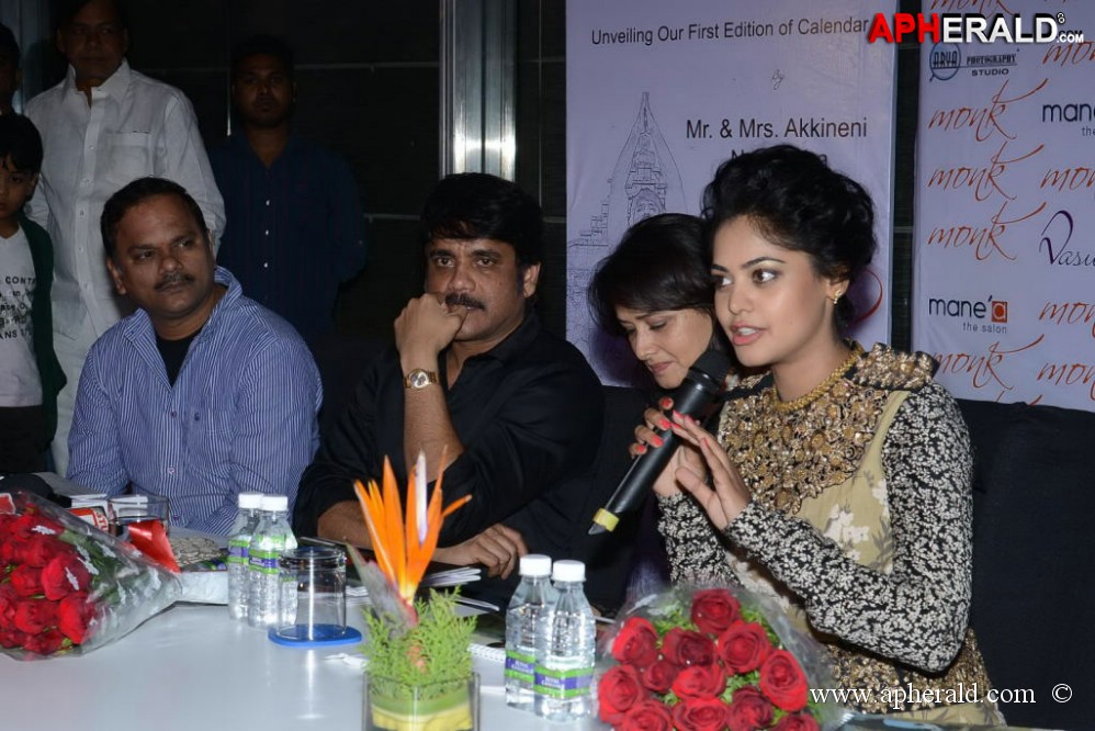 Bindu Madhavi Fashion Calendar 2014 Launch Event